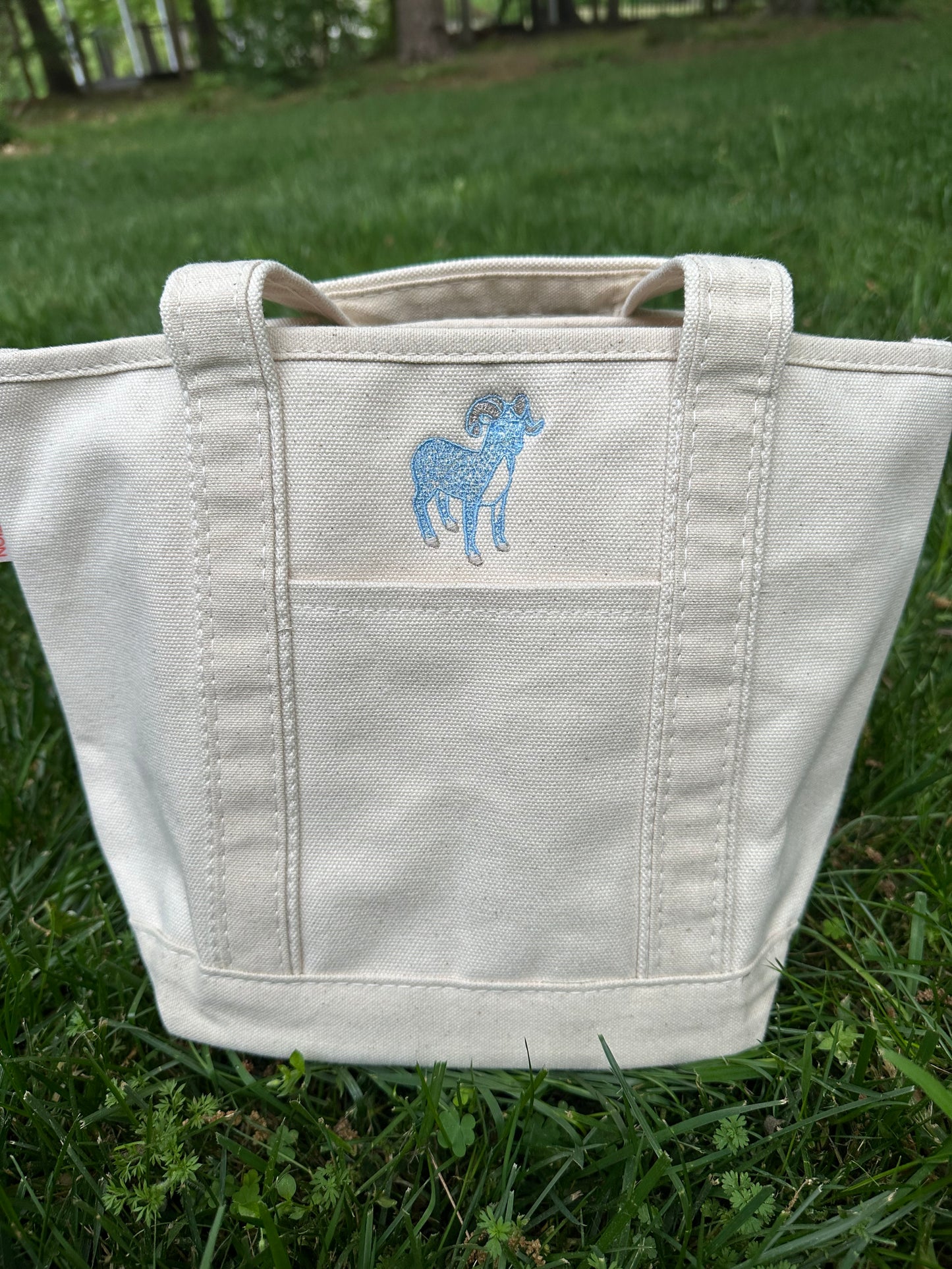 Ram Mini Tote